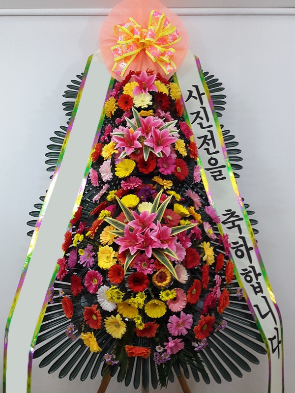 ���� 3��