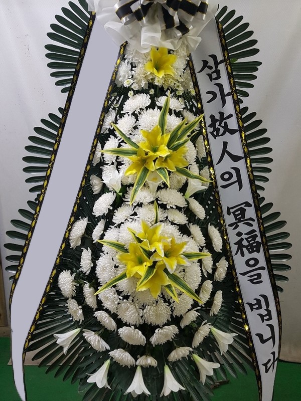 ���� 3��