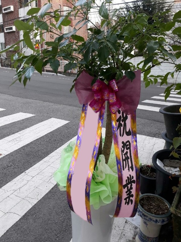 ����Ʈ��