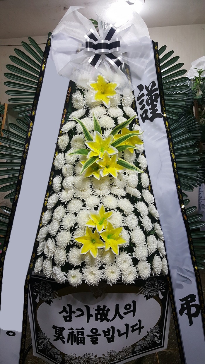 ���� 3��