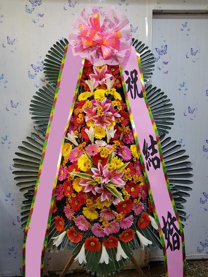 ���� 3��