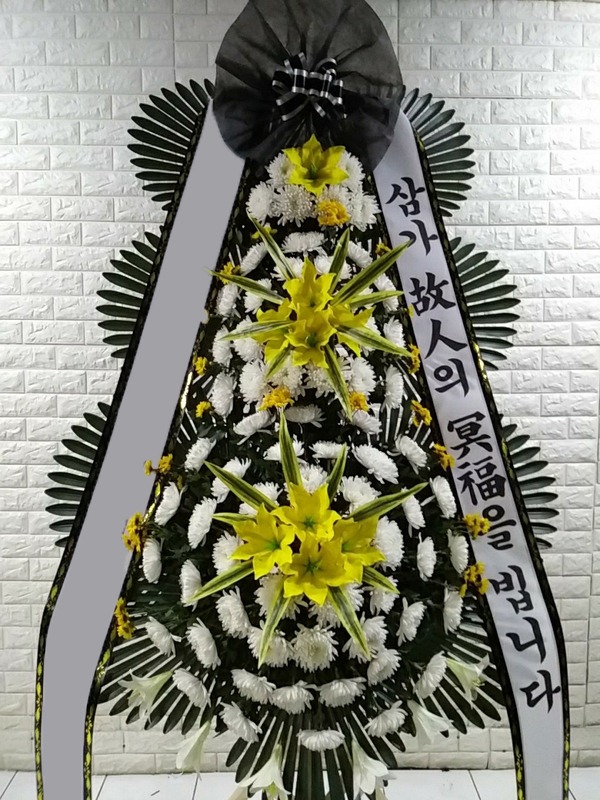 ���� 3��