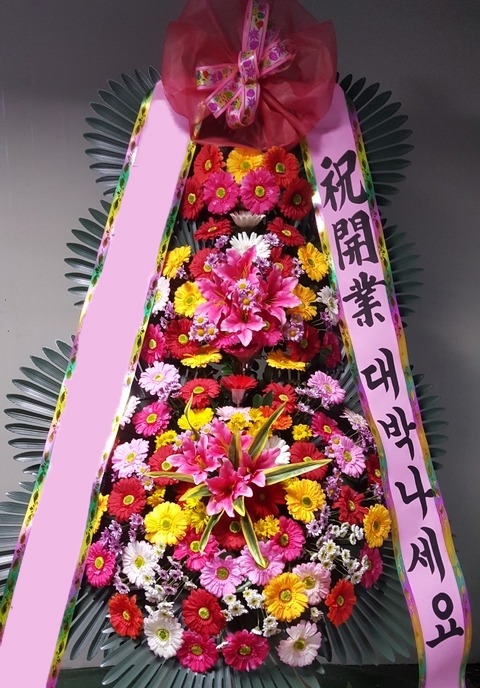 ���� 3��