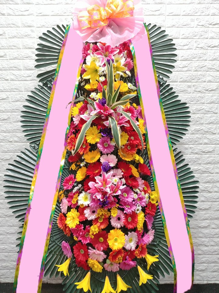 ���� 3��