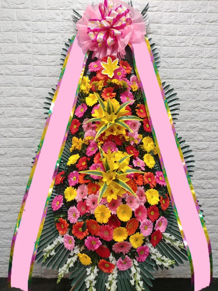 ���� 3��