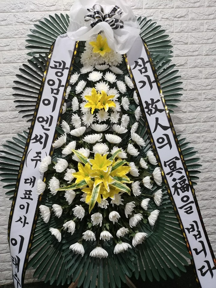 ���� 3��