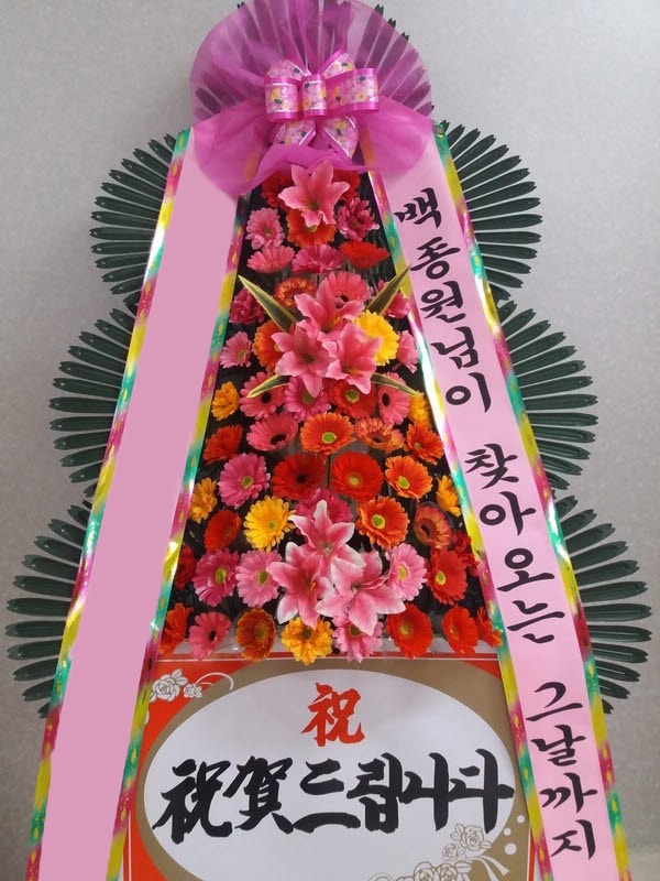 ���� 3��