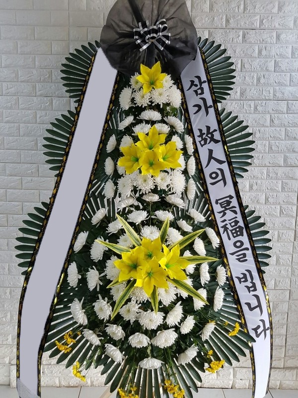 ���� 3��