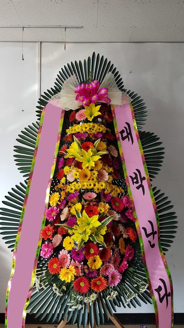 ���� 3��