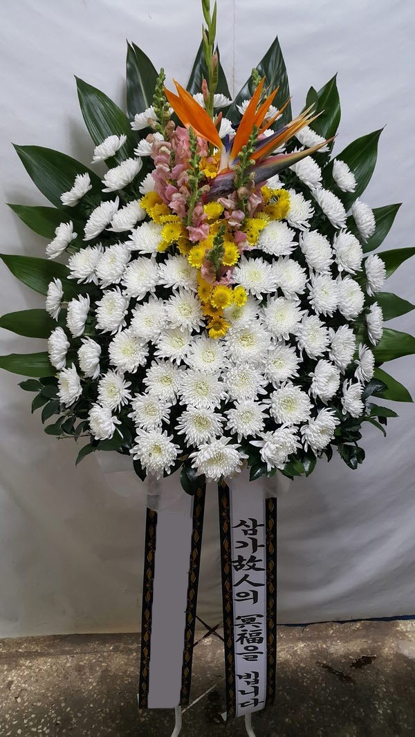 ���� ������