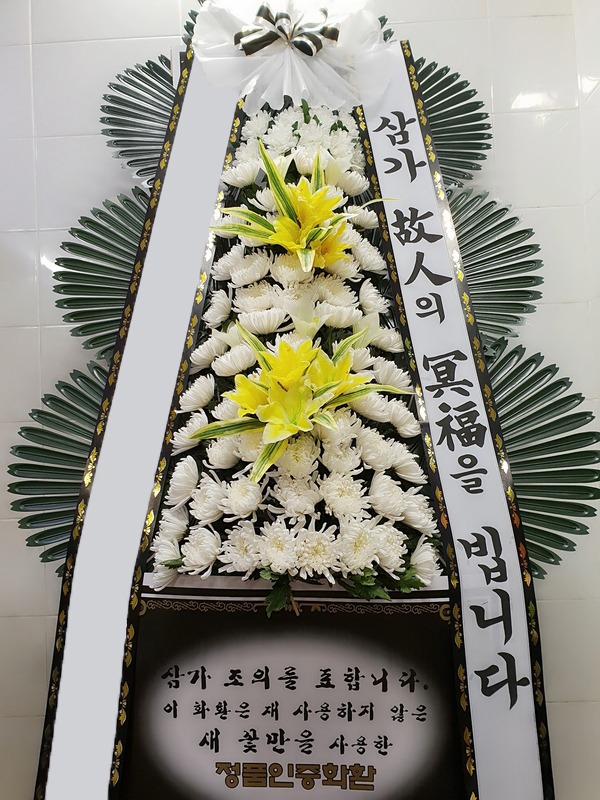 ���� 3��