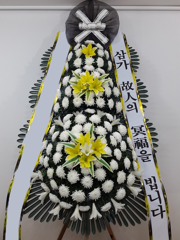 ���� 3��