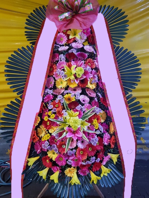 ���� 3��