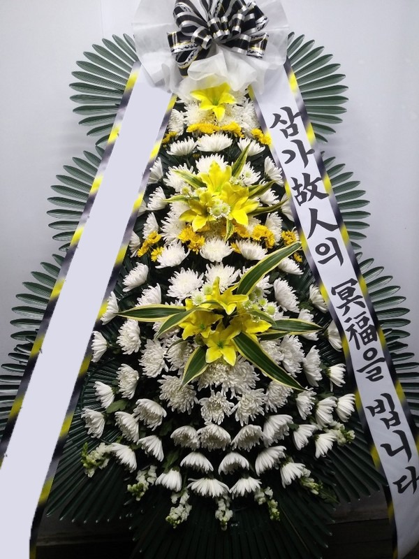 ���� 3��