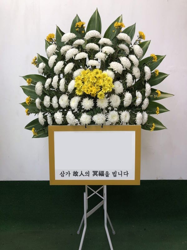 ���� ������