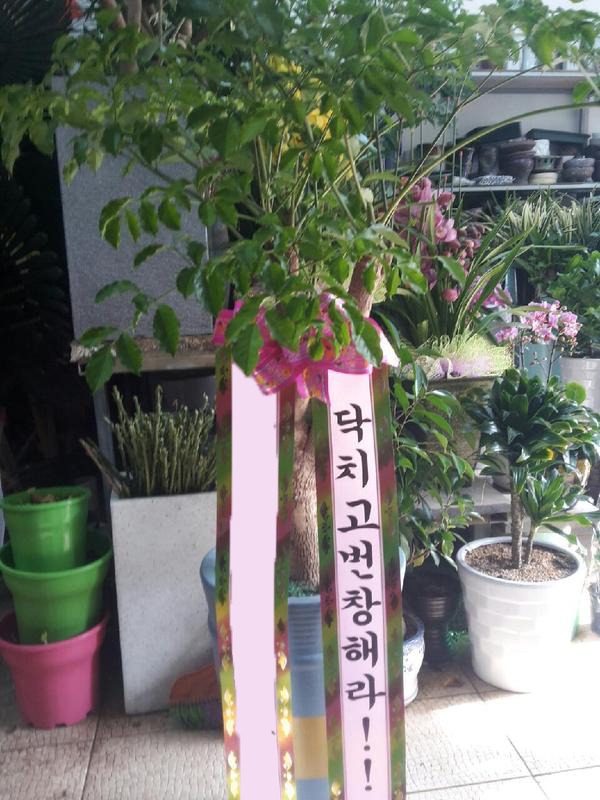 ����Ʈ��