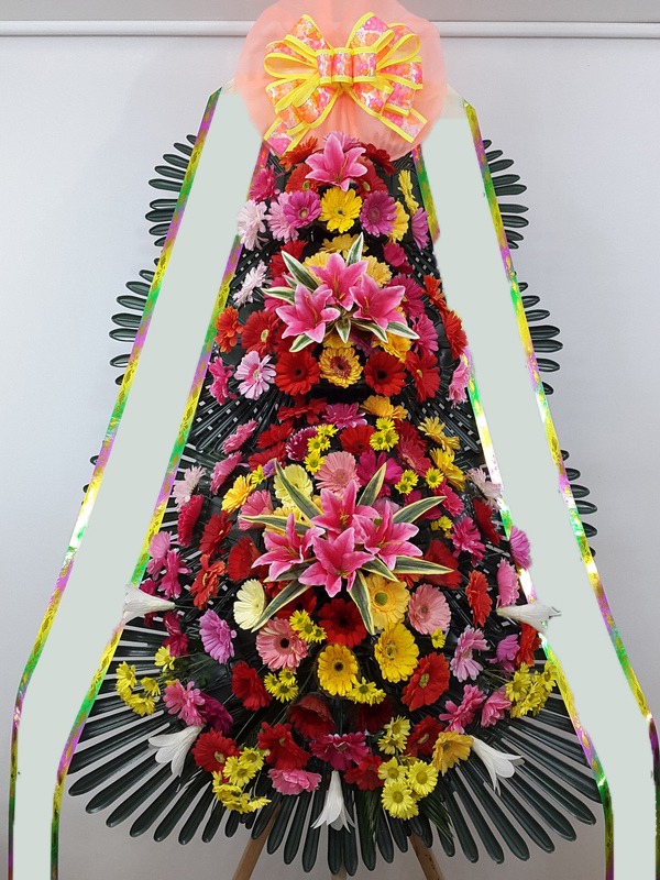 ���� 3��