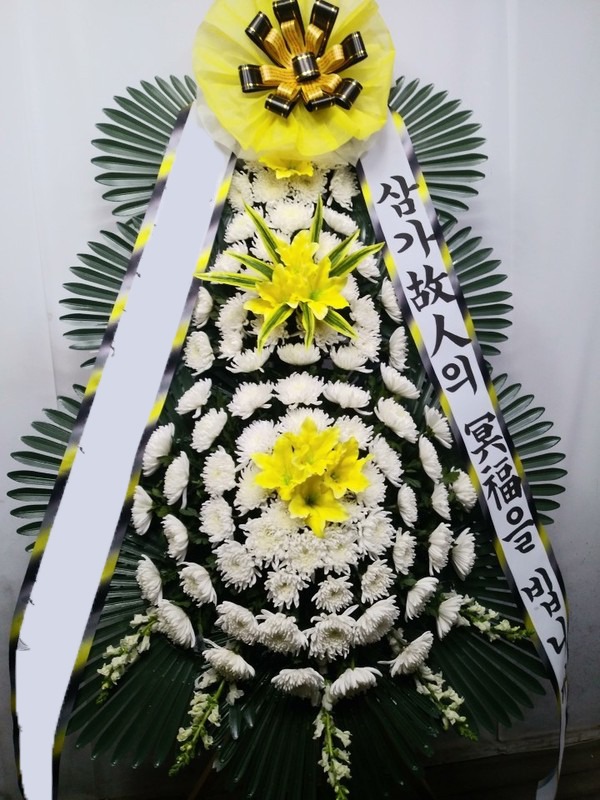 ���� 3��