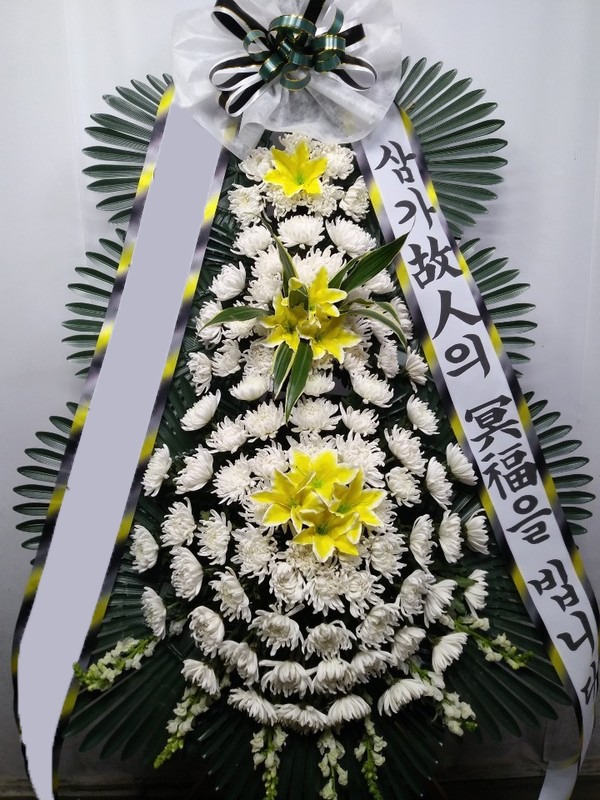 ���� 3��