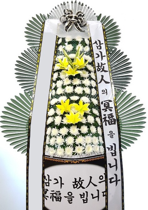 ���� 3��