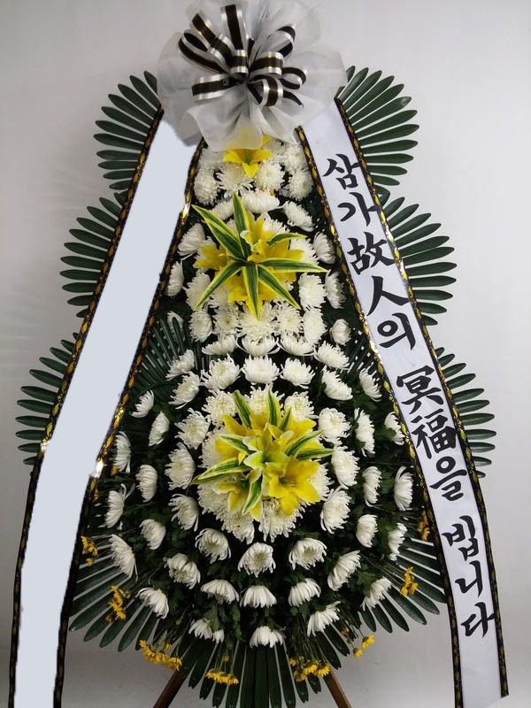 ���� 3��