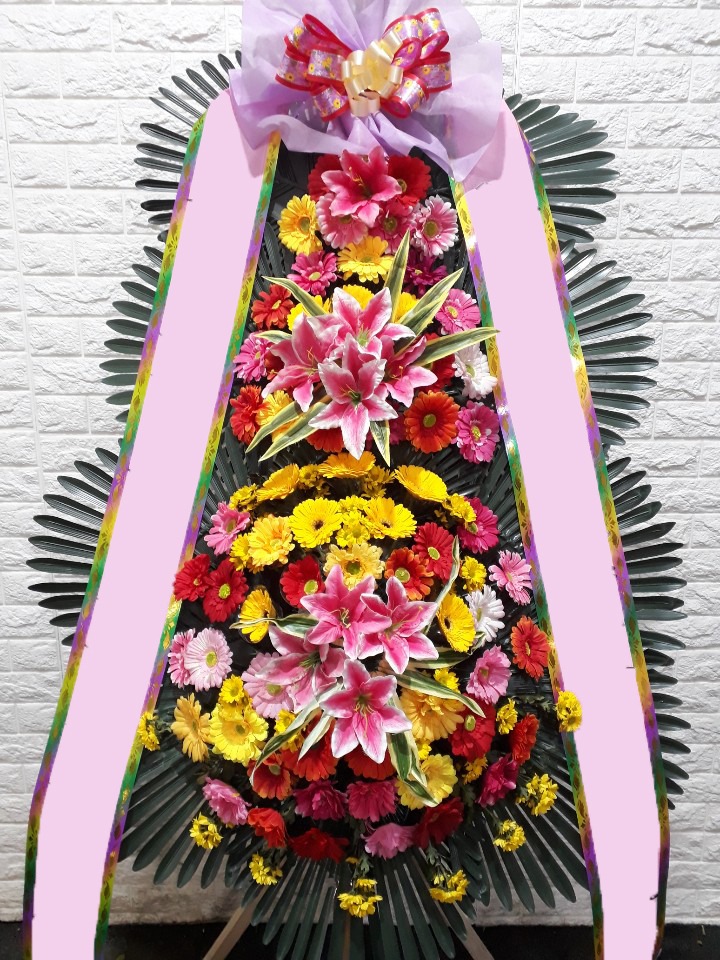 ���� 3��