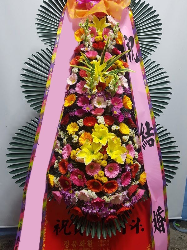 ���� 3��