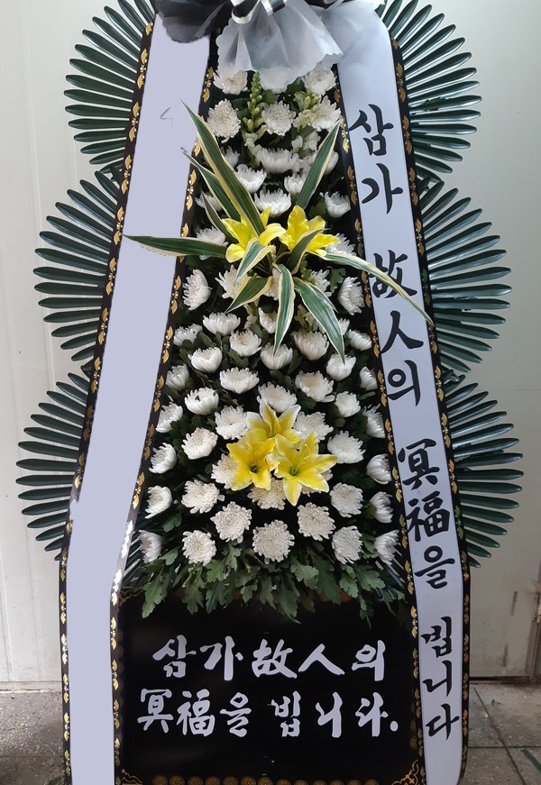 ���� 3��