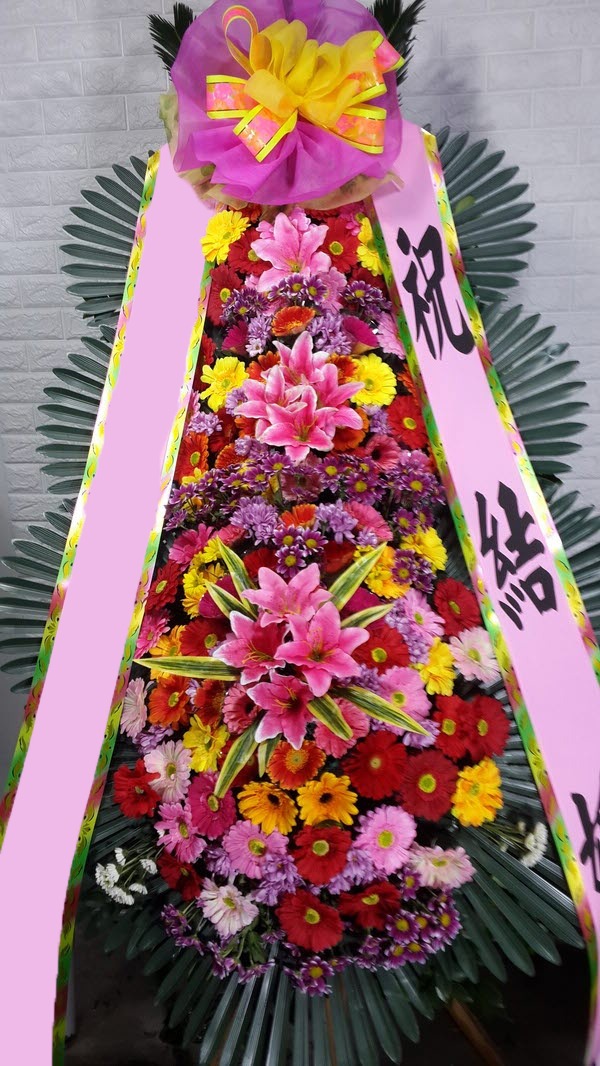 ���� 3��