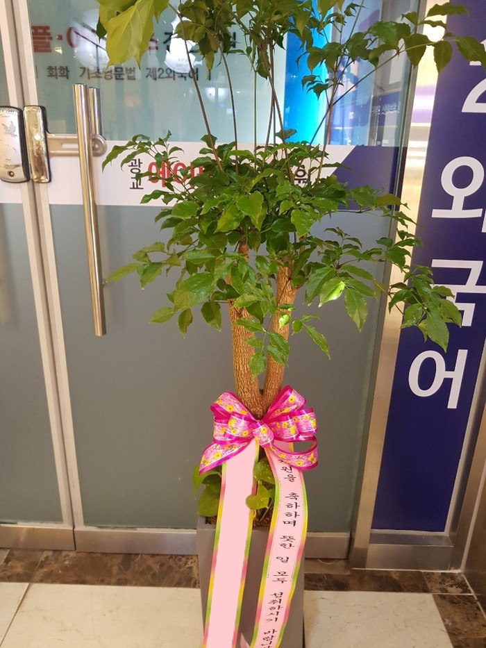 ����Ʈ��