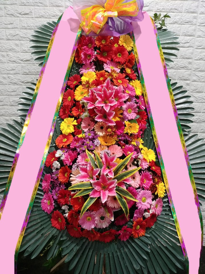 ���� 3��