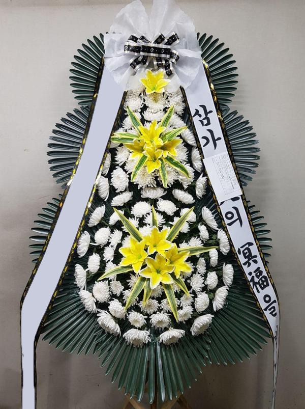 ���� 3��