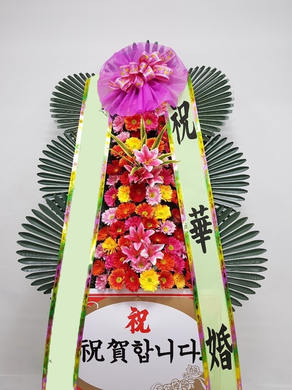 ���� 3��