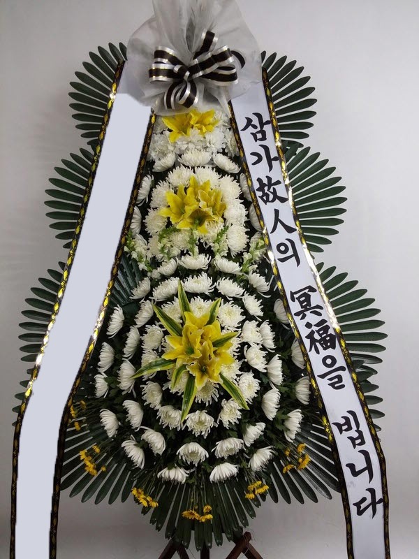 ���� 3��