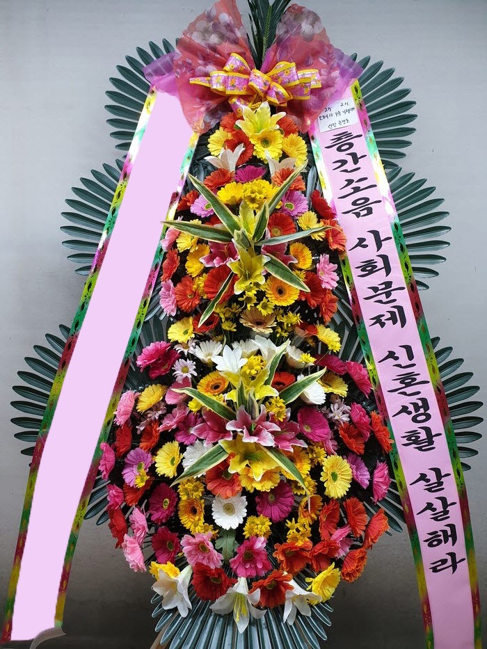 ���� 3��