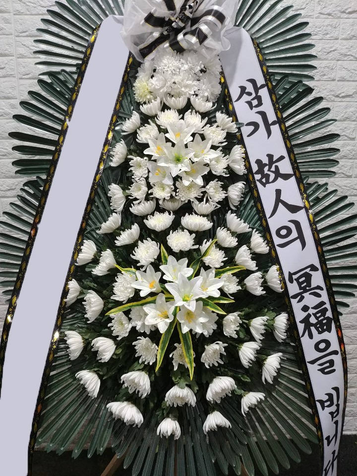 ���� 3��