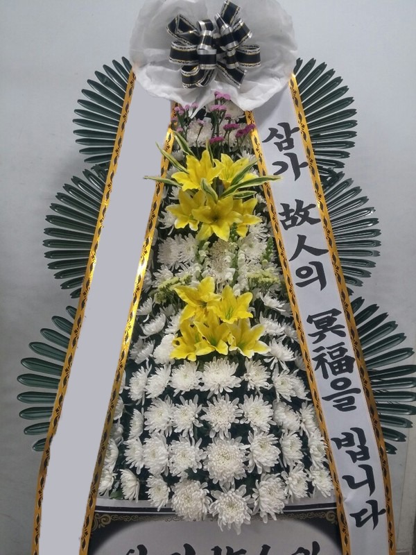 ���� 3��