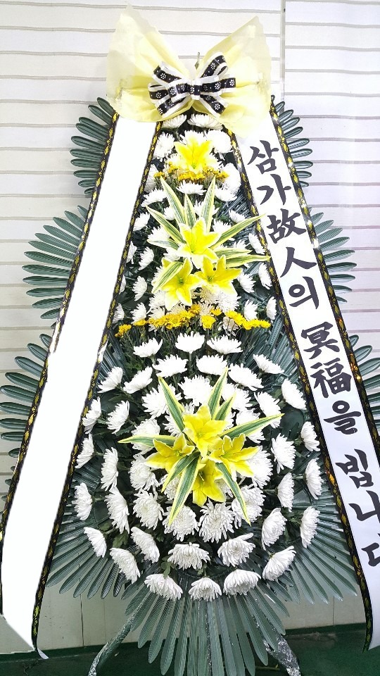 ���� 3��