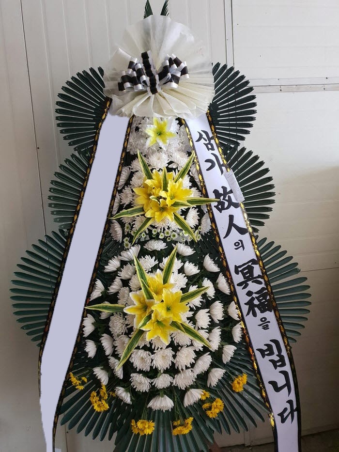 ���� 3��