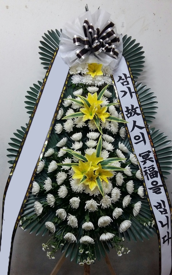 ���� 3��