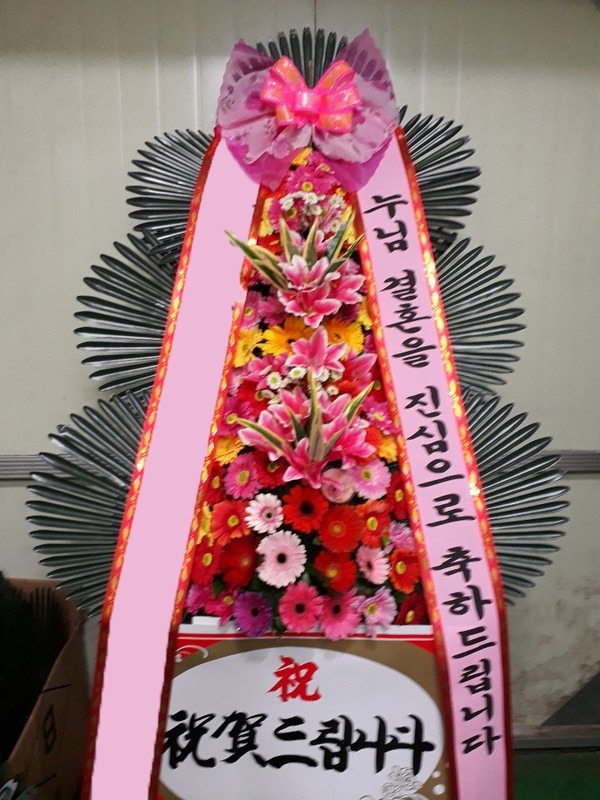 ���� 3��