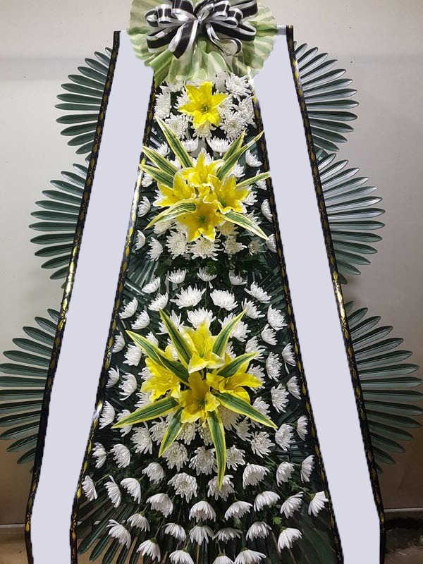 ���� 3��