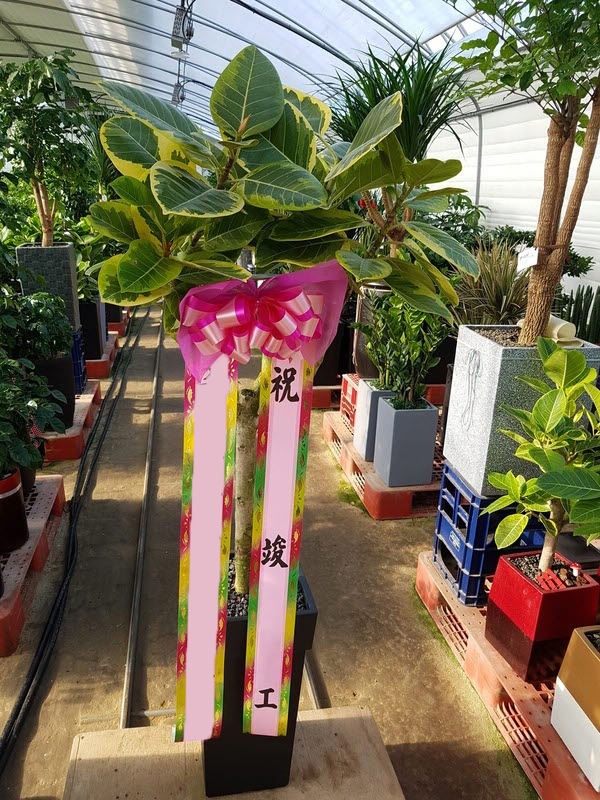 ������������