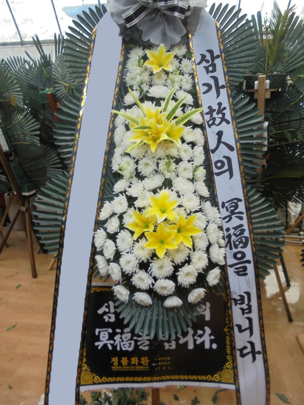 ���� 3��