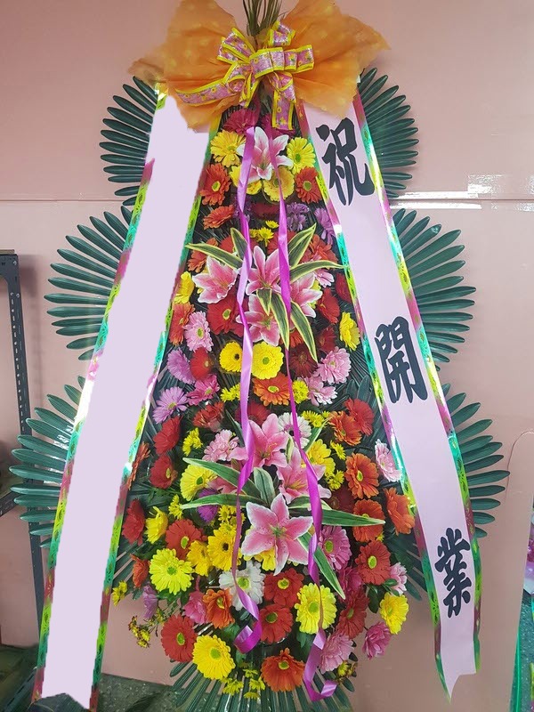 ���� 3��