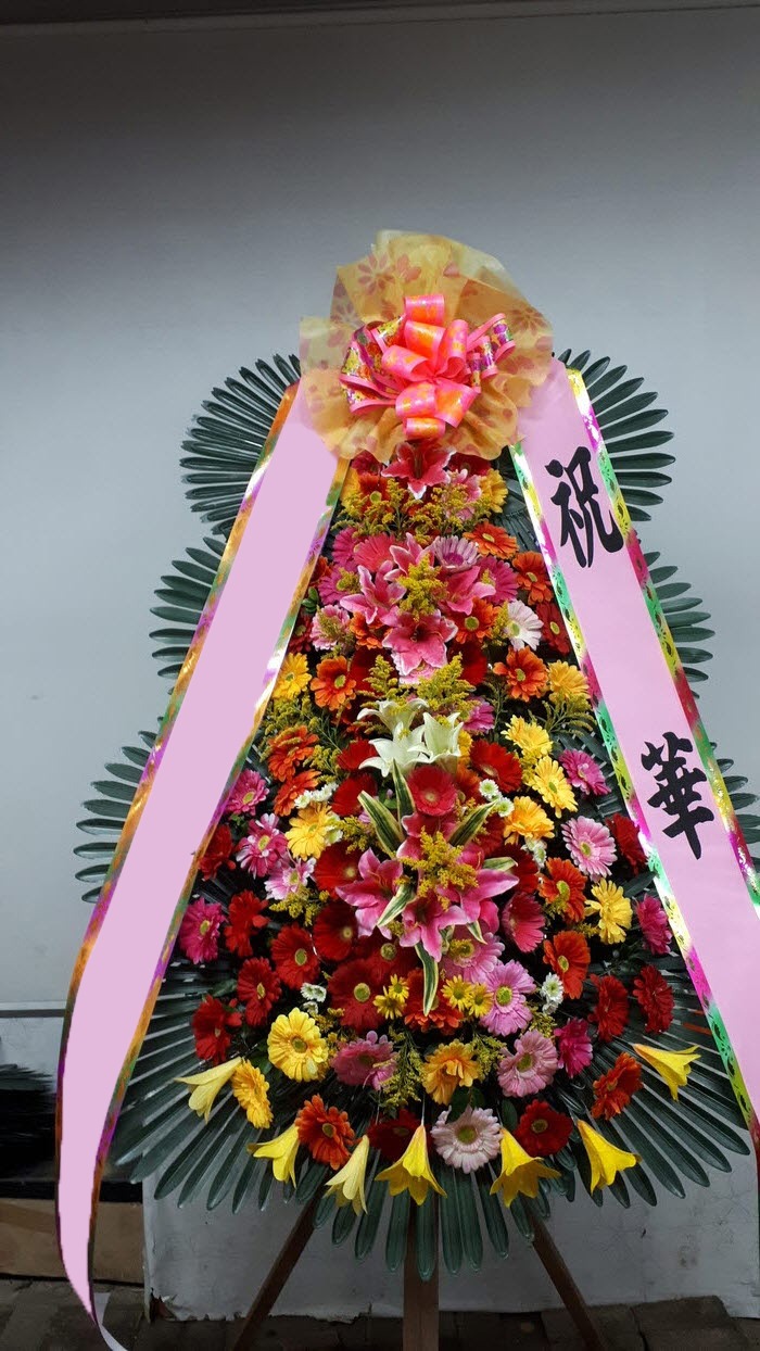 ���� 3��