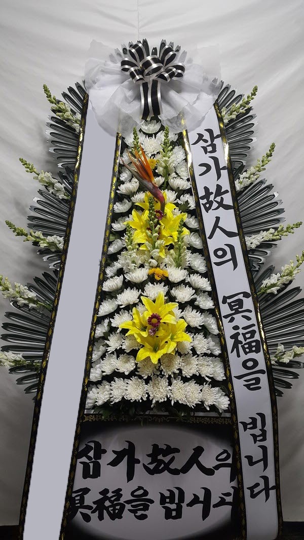 ���� 3��