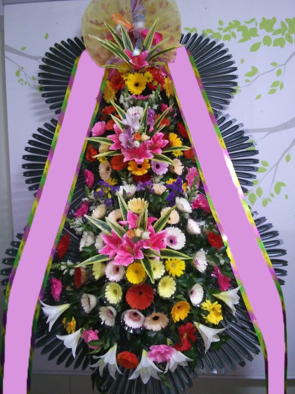 ���� 3��