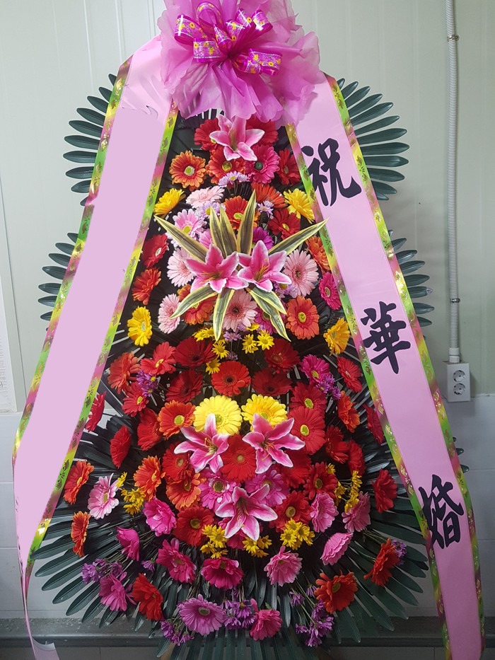 ���� 3��