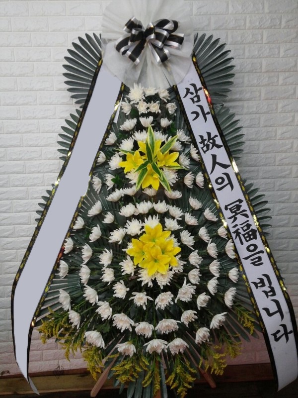 ���� 3��